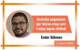 Avustralya yangınlarının ağır faturası ortaya çıktı: 3 milyar hayvan etkilendi