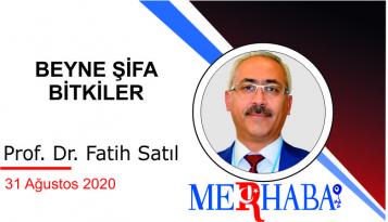 BEYNE ŞİFA BİTKİLER
