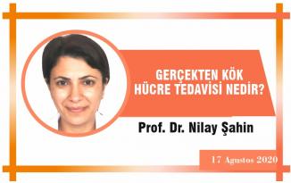 GERÇEKTEN KÖK HÜCRE TEDAVİSİ NEDİR?
