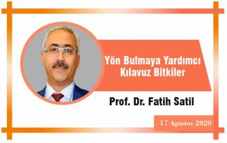 Yön Bulmaya Yardımcı Kılavuz Bitkiler