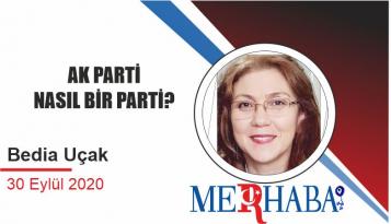 AK PARTİ NASIL BİR PARTİ?