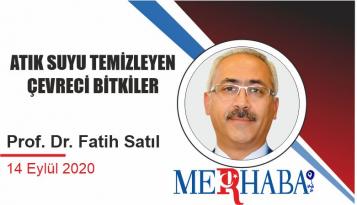 ATIK SUYU TEMİZLEYEN ÇEVRECİ BİTKİLER