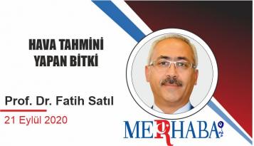 HAVA TAHMİNİ YAPAN BİTKİ