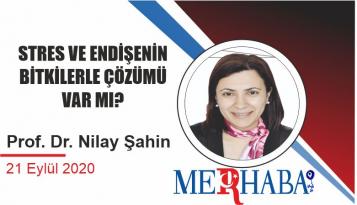 STRES VE ENDİŞENİN BİTKİLERLE ÇÖZÜMÜ VAR MI?