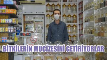 BİTKİLERİN MUCİZESİNİ GETİRİYORLAR