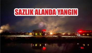 SAZLIK ALANDA YANGIN