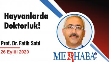 Hayvanlarda Doktorluk!
