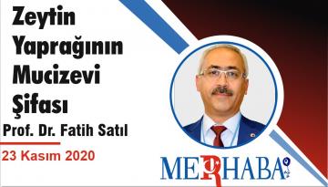 Zeytin Yaprağının Mucizevi Şifası