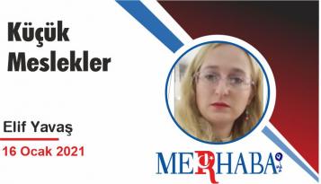 Küçük Meslekler