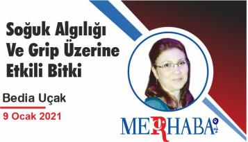 Soğuk Algılığı Ve Grip Üzerine Etkili Bitki