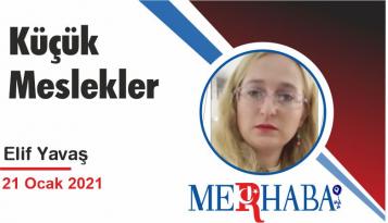 Küçük Meslekler