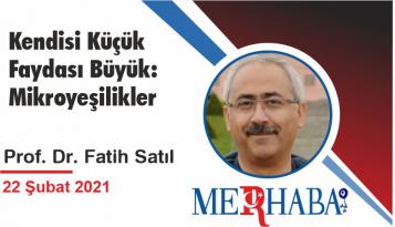 Kendisi Küçük Faydası Büyük: Mikroyeşilikler