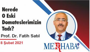 Nerede O Eski Domateslerimizin Tadı?