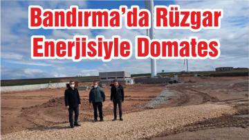 Bandırma’da RüZgar Enerjisiyle Domates