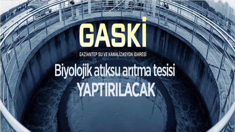 06 Gaski