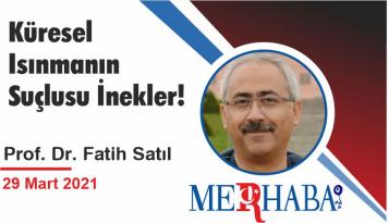 Küresel Isınmanın Suçlusu İnekler!