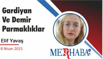Gardiyan Ve Demir Parmaklıklar