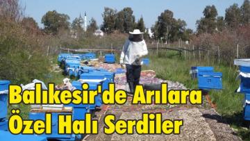Balıkesir’de Arılara Özel Halı Serdiler