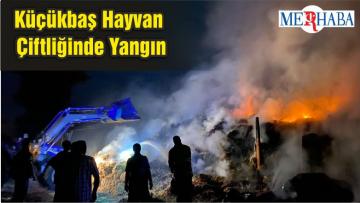 Küçükbaş Hayvan Çiftliğinde Yangın