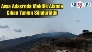 Avşa Adası’nda Makilik Alanda Çıkan Yangın Söndürüldü