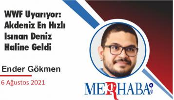 WWF Uyarıyor: Akdeniz En Hızlı Isınan Deniz Haline Geldi