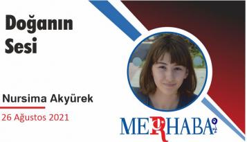 Doğanın Sesi