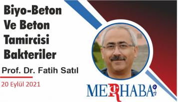 Biyo-Beton Ve Beton Tamircisi Bakteriler