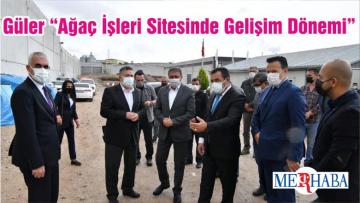 Güler “Ağaç İşleri Sitesinde Gelişim Dönemi”