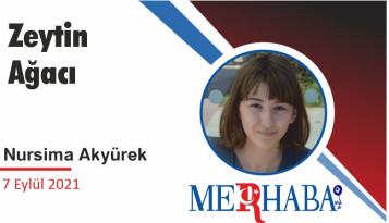 Zeytin Ağacı