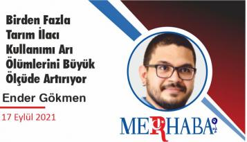 Birden Fazla Tarım İlacı Kullanımı Arı Ölümlerini Büyük Ölçüde Artırıyor