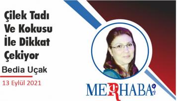 Çilek Tadı Ve Kokusu İle Dikkat Çekiyor