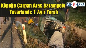 Köpeğe Çarpan Araç Şarampole Yuvarlandı: 1 Ağır Yaralı