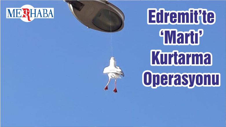 Edremit’te ‘Martı’ Kurtarma Operasyonu