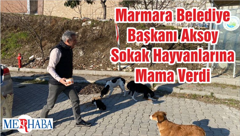 Marmara Belediye Başkanı Aksoy Sokak Hayvanlarına Mama Verdi