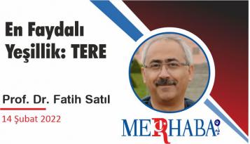 En Faydalı Yeşillik: TERE