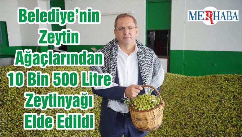 Belediye’nin Zeytin Ağaçlarından 10 Bin 500 Litre Zeytinyağı Elde Edildi