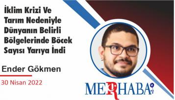 İklim Krizi Ve Tarım Nedeniyle Dünyanın Belirli Bölgelerinde Böcek Sayısı Yarıya İndi
