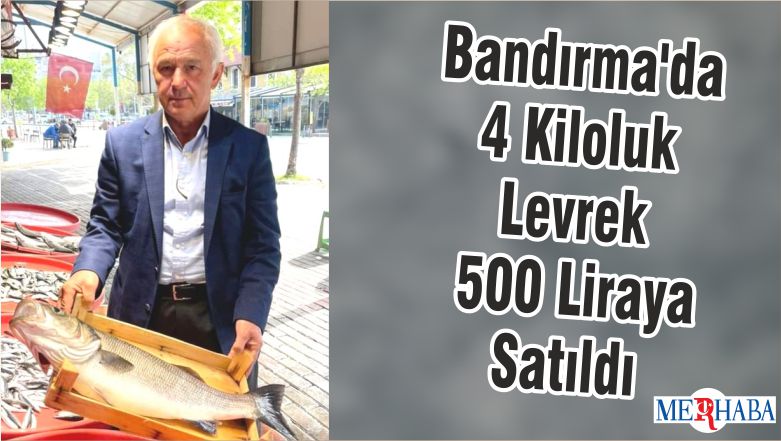 Bandırma’da 4 Kiloluk Levrek 500 Liraya Satıldı