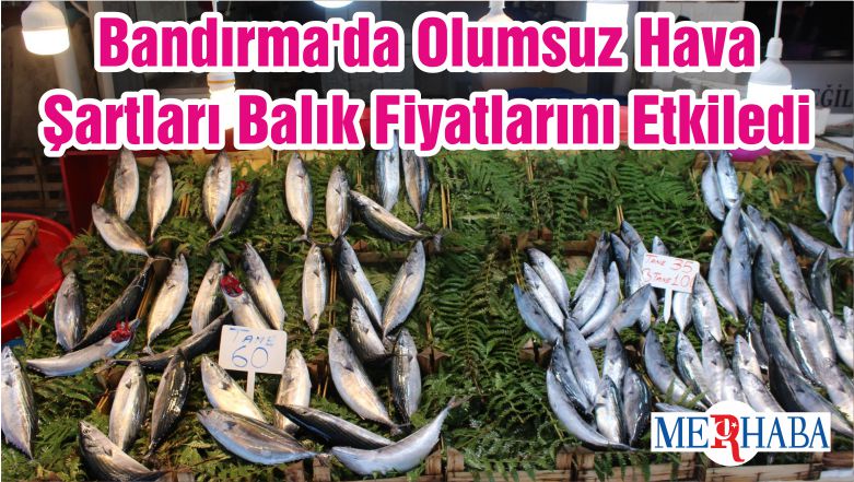 Bandırma’da Olumsuz Hava Şartları Balık Fiyatlarını Etkiledi