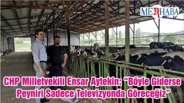 CHP Milletvekili Ensar Aytekin: “Böyle Giderse Peyniri Sadece Televizyonda Göreceğiz”