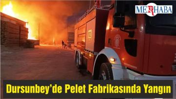 Dursunbey’de Pelet Fabrikasında Yangın