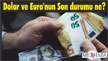 Dolar ve Euro’nun Son durumu ne?