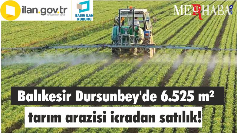 Balıkesir Dursunbey’de 6.525 m² tarım arazisi icradan satılık!