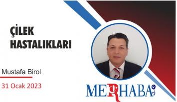 ÇİLEK HASTALIKLARI
