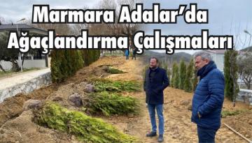 Marmara Adalar’da Ağaçlandırma Çalışmaları
