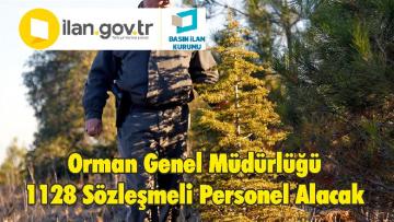 Orman Genel Müdürlüğü 1128 Sözleşmeli Personel Alacak