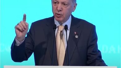 Cumhurbaskani Erdogan 1