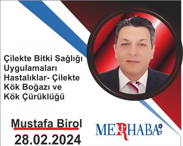 Yeni Mustafa Birol