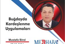 Mustafabirol2703