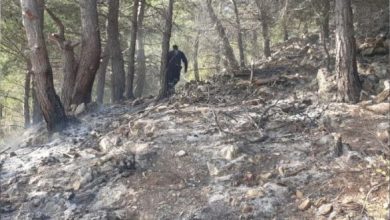Kazdağları’nda Orman Yangını